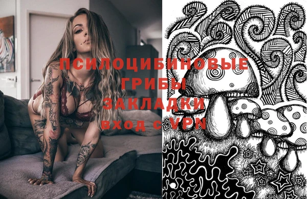 PSILOCYBIN Белоозёрский
